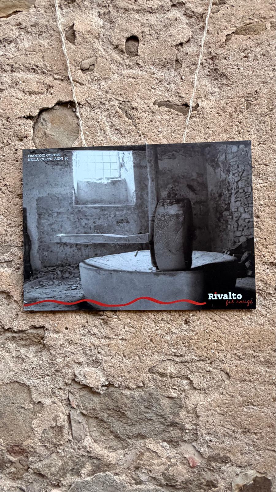 FIL-ROUGE-FRANTOIO-ANNI-30