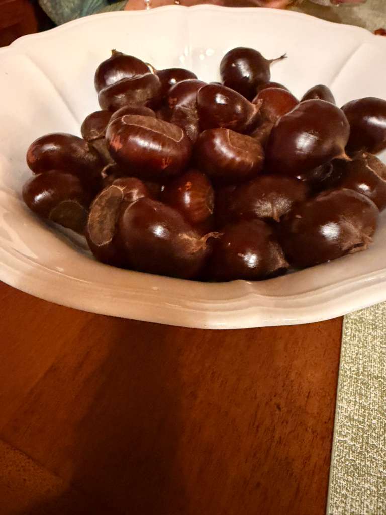 CASTAGNE-IN-BOWL