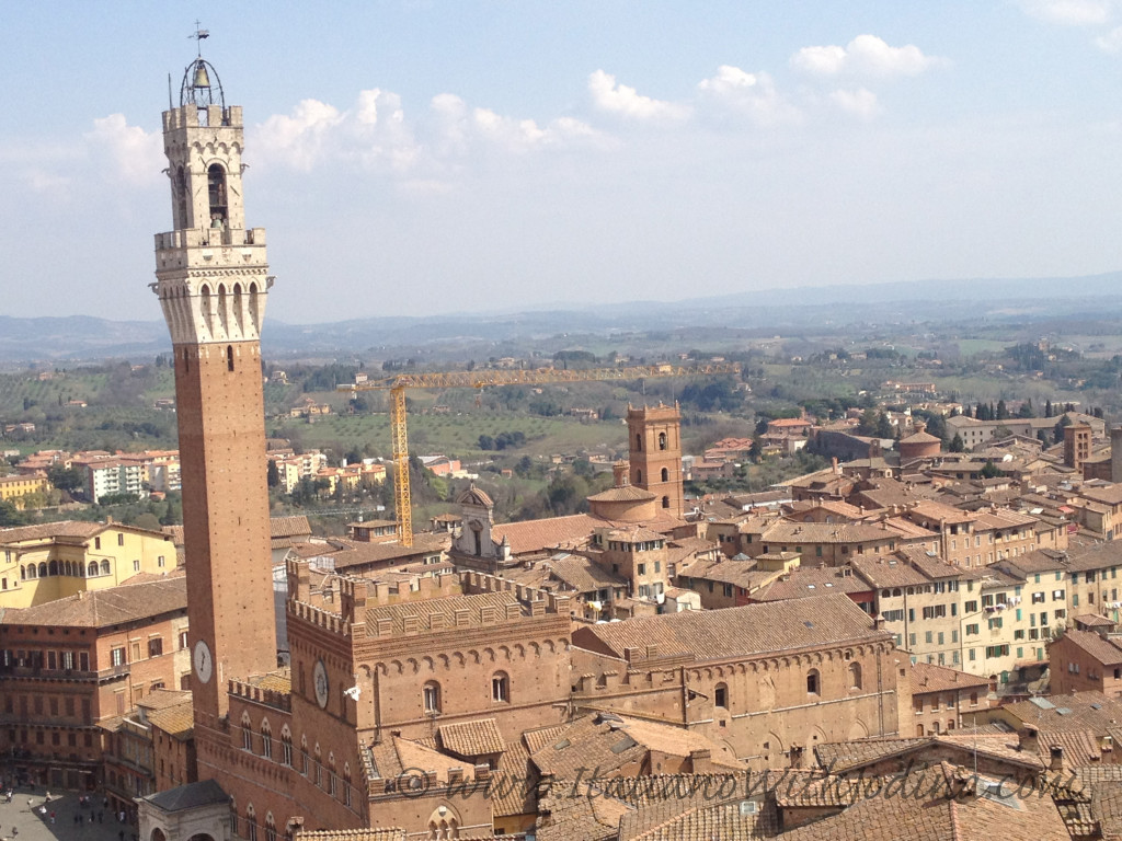 view from on high of torrei del mangia, siena, italy