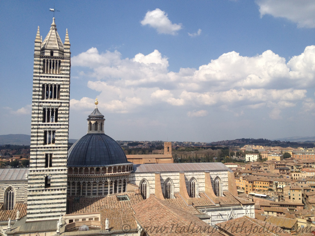 view from on high of siena duomo, bell tower, and cupora