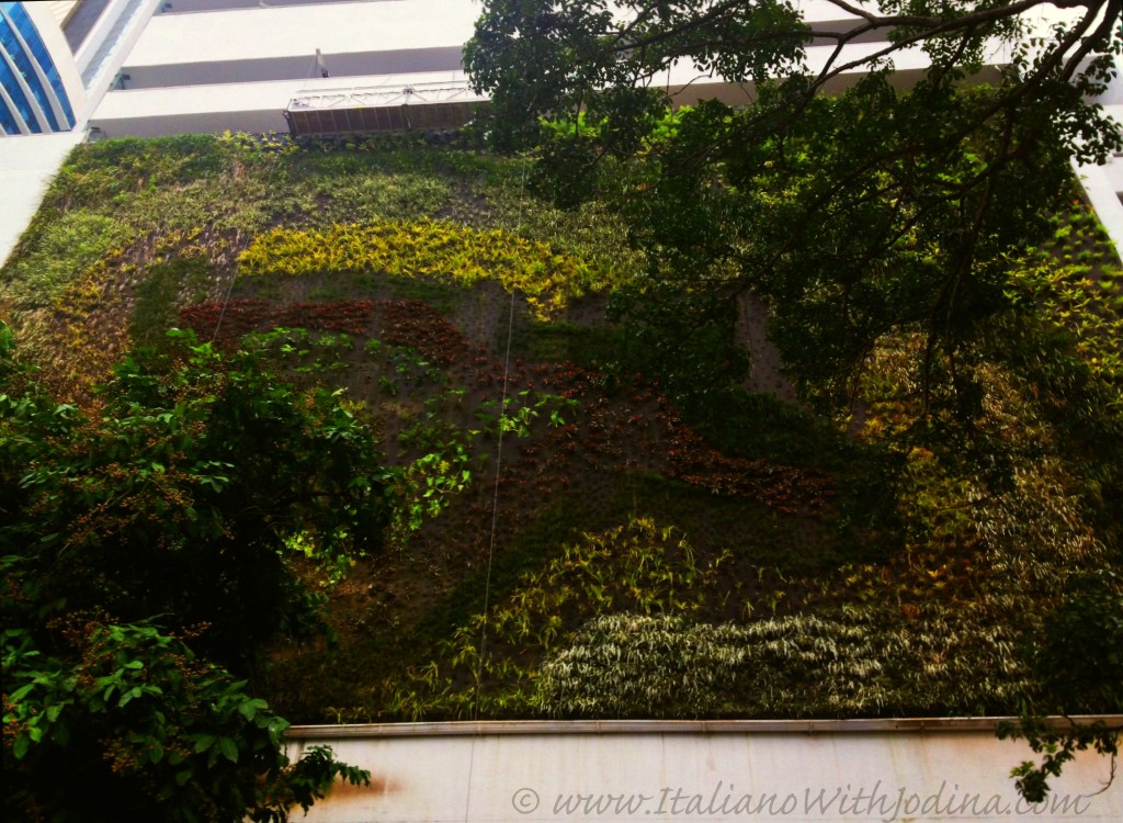 a living wall - landscaping on side of skyscraper - jodina travel panama
