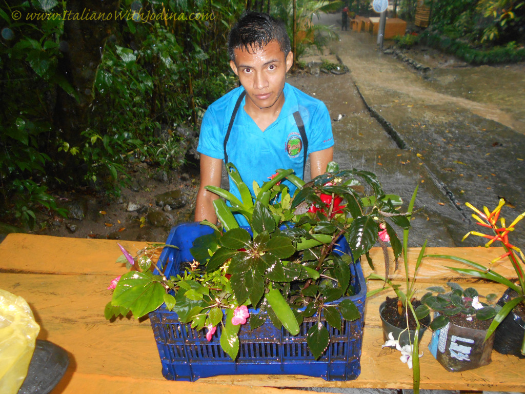 a young man moves plants out of rain for safekeeping