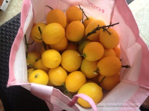 10-100-1000 limoni