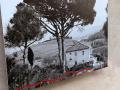 FIL-ROUGE-PODERE-CANAPAIA-ANNI-60