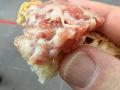 ASSAGGIO-DI-SALSICCIA-NOSTRANA