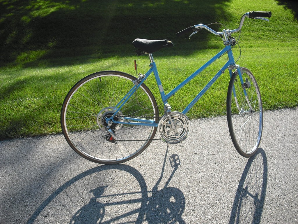 detto hai voluto la bicicletta adesso pedala